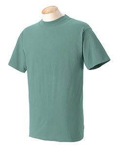 Comfort Colors Adult Heavyweight T-Shirt C1717 - Screen Printed