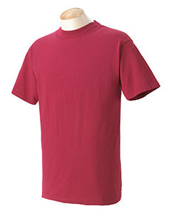Comfort Colors Adult Heavyweight T-Shirt C1717 - Screen Printed