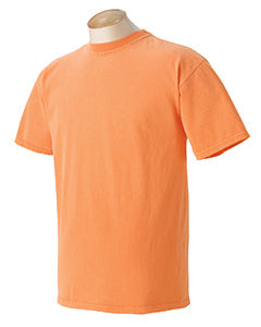 Comfort Colors Adult Heavyweight T-Shirt C1717 - Screen Printed